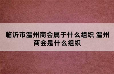 临沂市温州商会属于什么组织 温州商会是什么组织